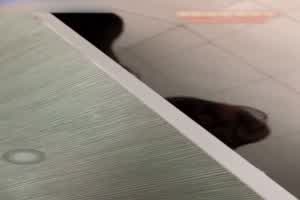 高中情侣在厕所爱爱  背景图片