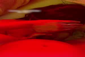 西门官人 约做过的女人都一致好评  背景图片