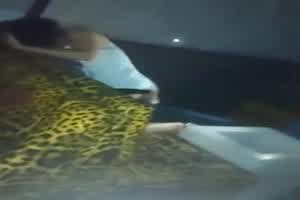 【独家吃瓜】成都莎莎舞厅实录~劲爆无套爆插舞女  背景图片