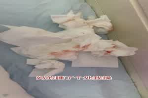 【真实pua大神第六弹】我家猫会后空翻，多位女主因猫咪被骗拍视频，附真实记录5.21正片  背景图片