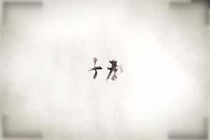 性视界传媒 莉娜 养子的秘密教学EP2 阿姨的初次自慰教学  背景图片