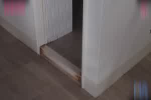 玩弄情欲小野猫 口交骑乘乖乖顺服  背景图片