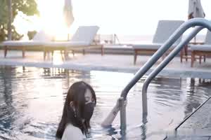 香港玩偶姐姐 纯白女神 夏日回忆  背景图片