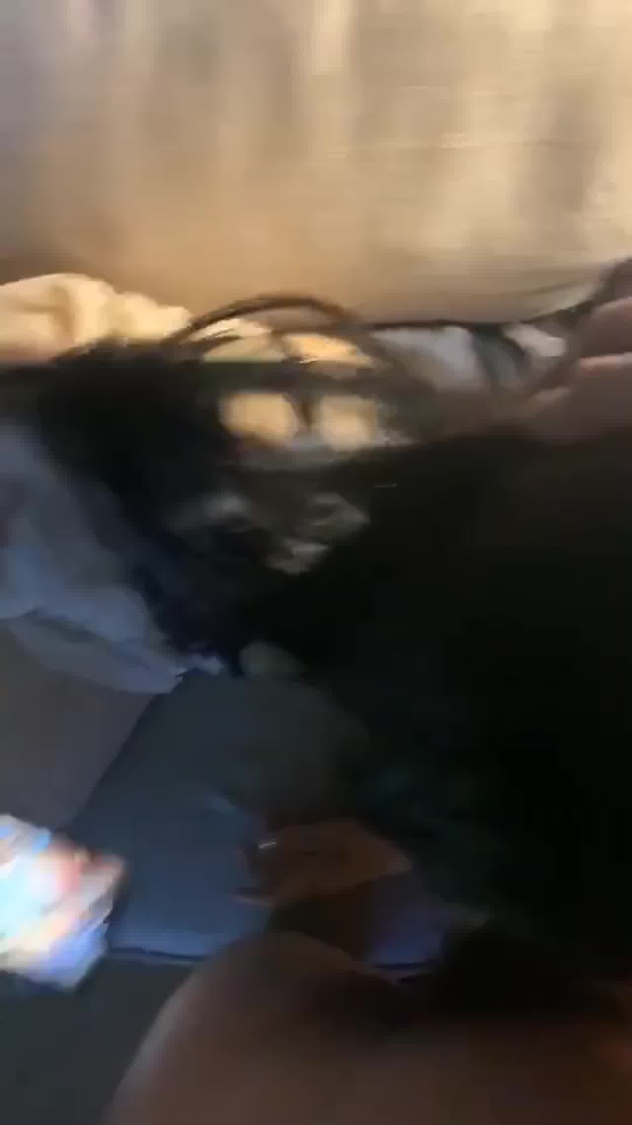  打王者呀 ！你先玩着我干一炮  ！ 的剧照1