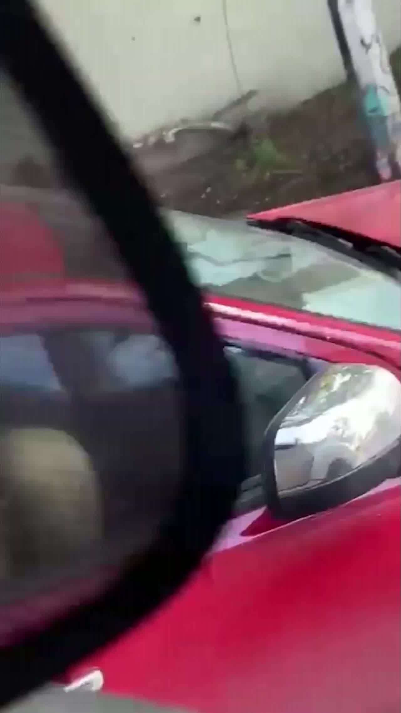  门事件 车上无意中的一瞥_卧槽!旁边小车上的情侣在干啥 的剧照10