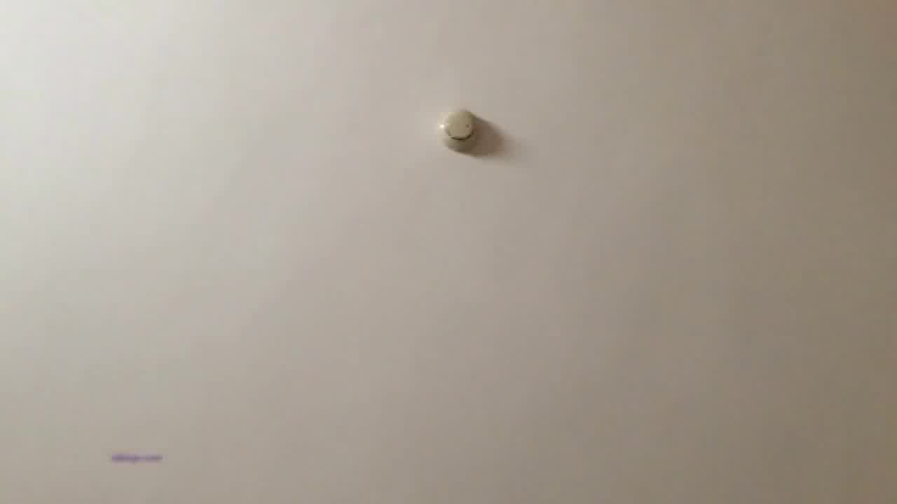  高颜值性感大学美女和室友男朋友酒店偷偷私会 的剧照1