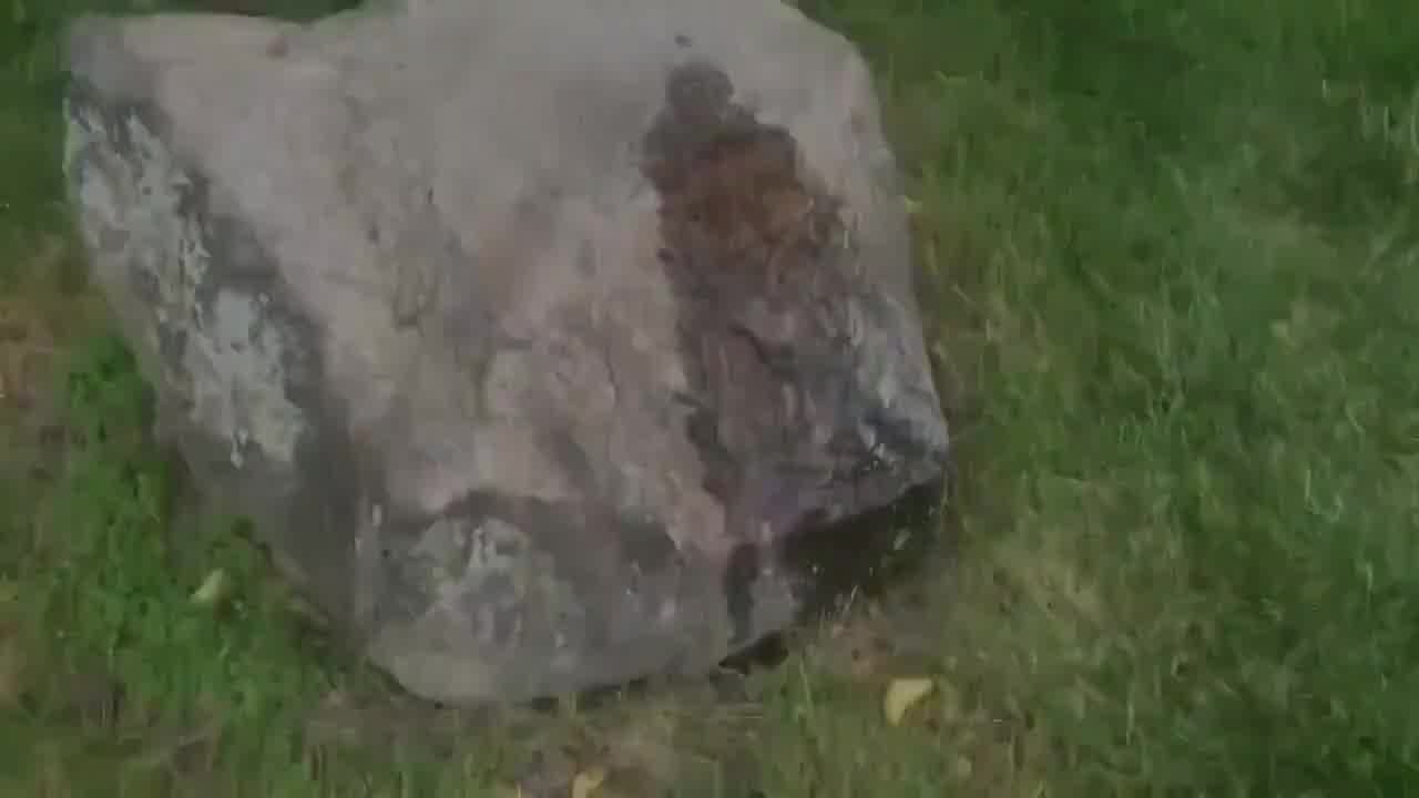  啧啧啧，随地大小便，关键内裤还没脱就尿了 的剧照1