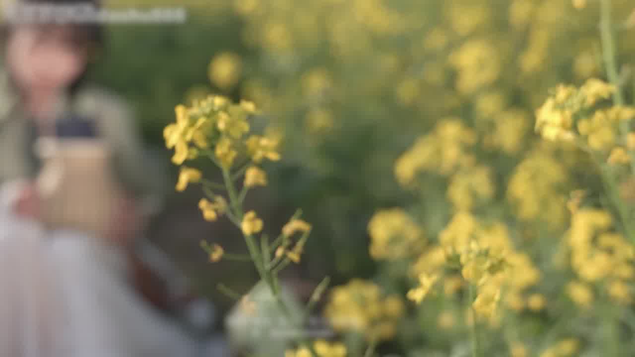  唯美系列-你不可错过！ 的剧照3