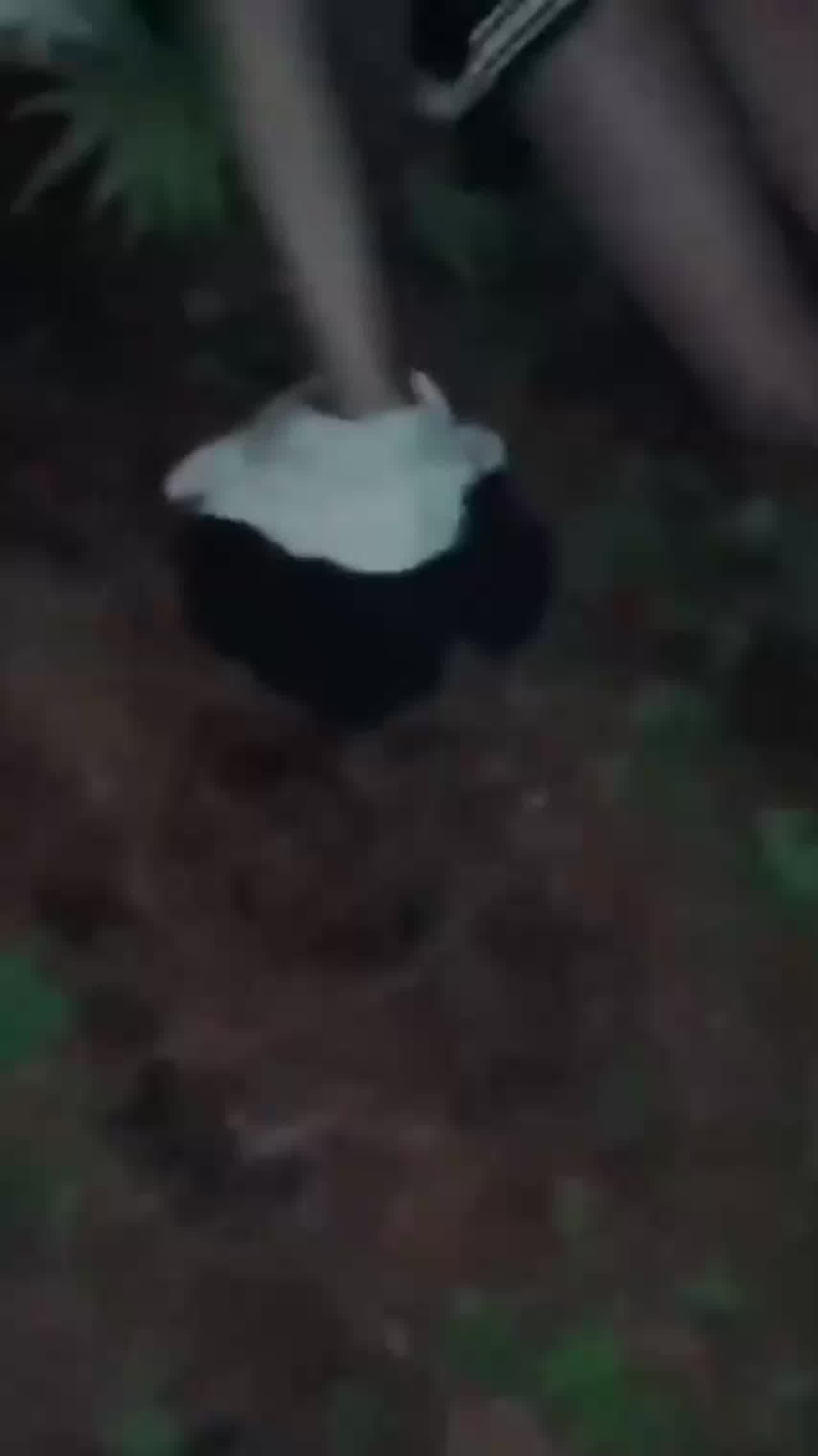  【真实强奸】请勿模仿！校园霸凌强奸+野外强奸轮奸精选！放弃反抗只盼快点射出 的剧照4