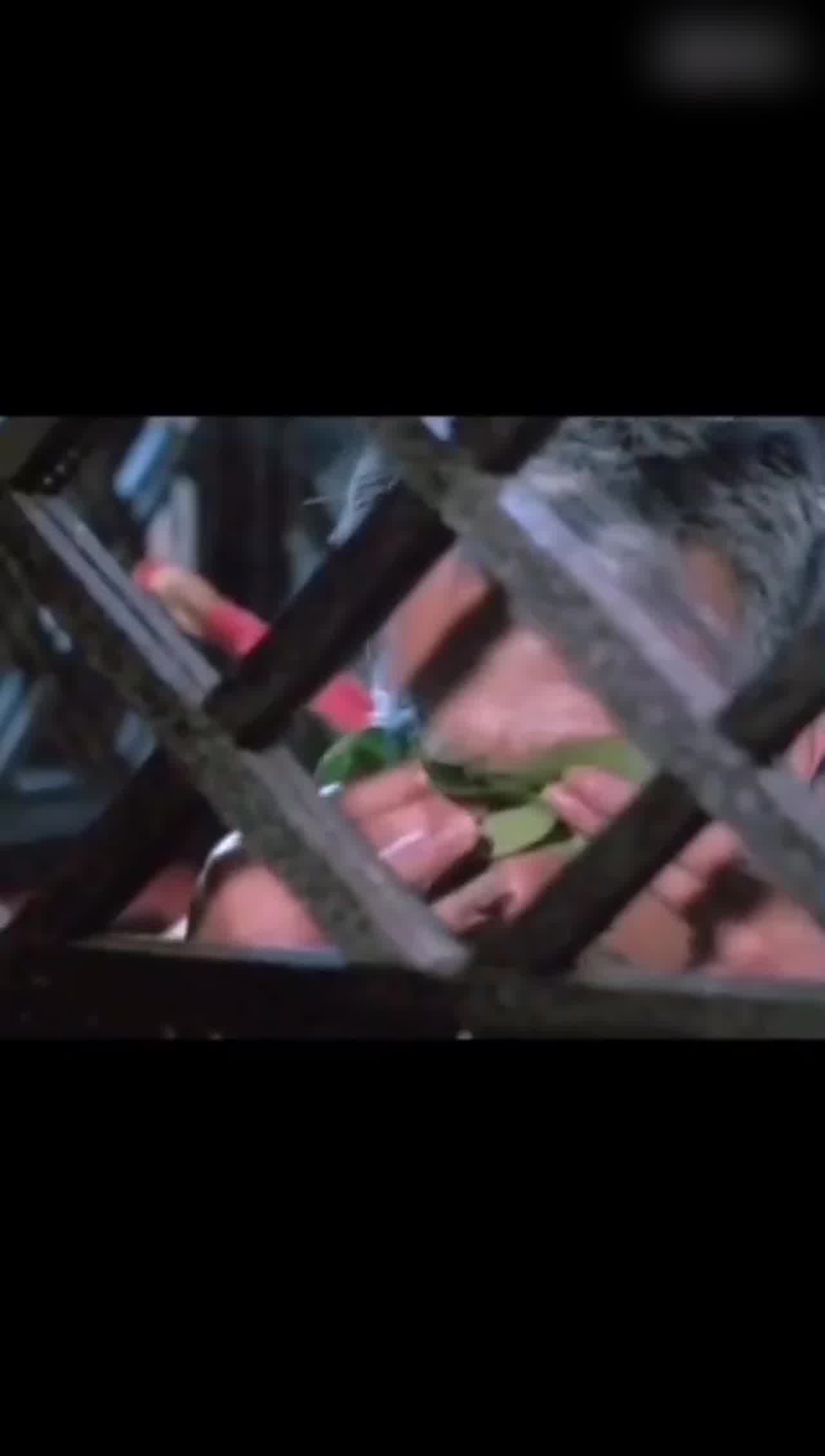  别害怕！眼神放亮一点 错过就没了喔 的剧照10