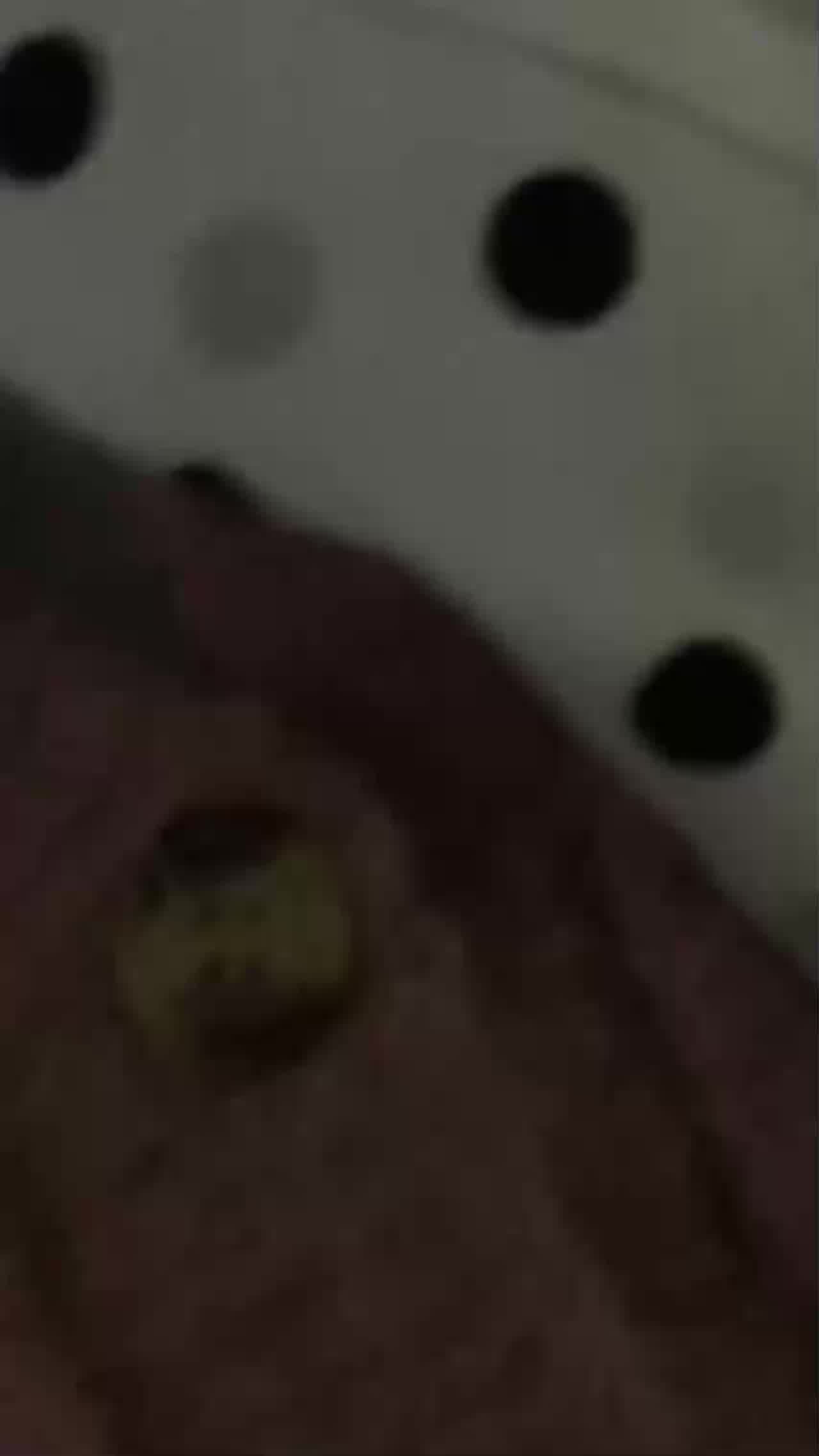  苏州的小母狗，性感的美穴，和男友做爱流出，每次都被射进嘴里 唔！ 的剧照1