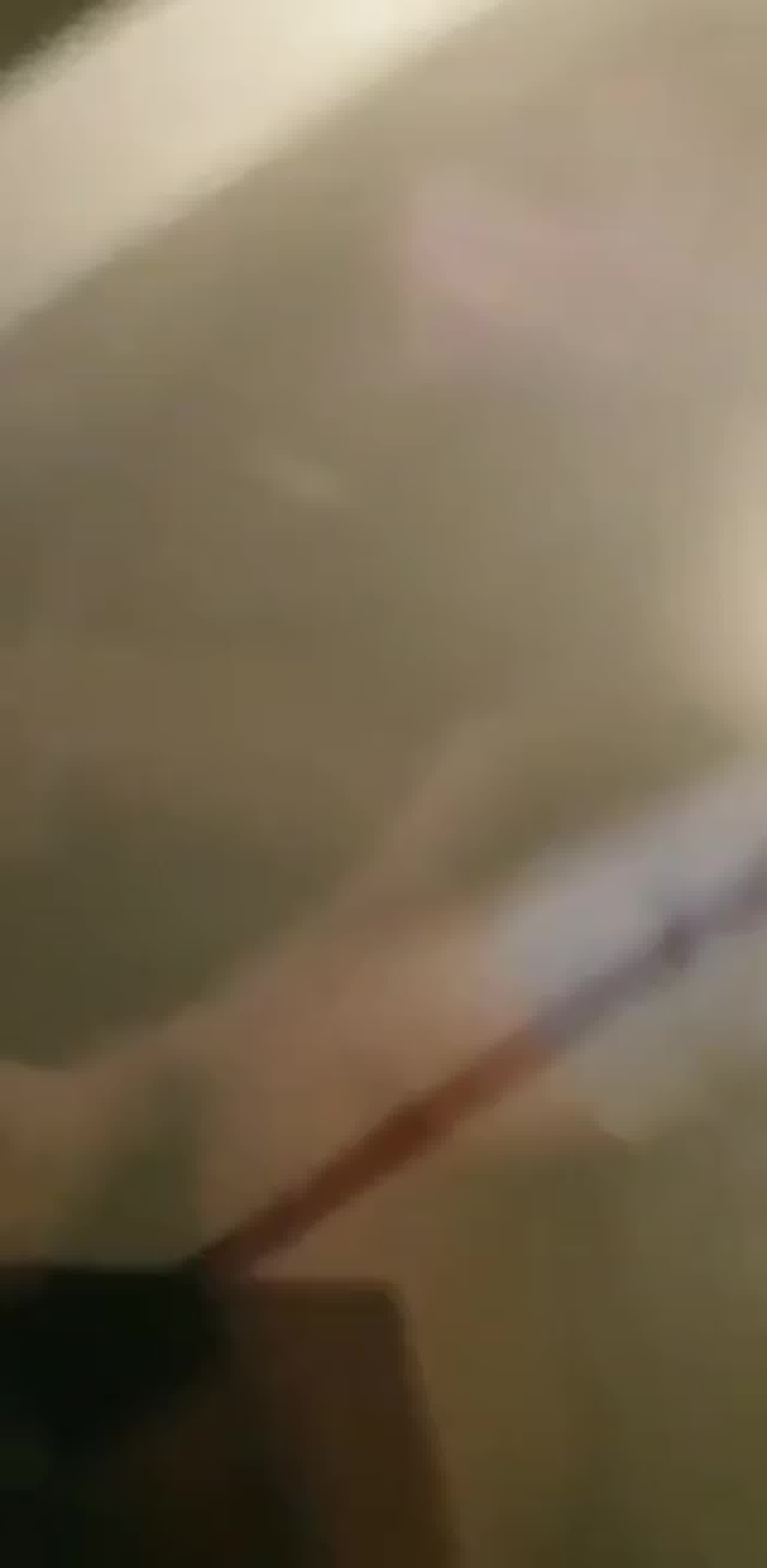  香港 运动型正妹停车场车震有妇之夫!被偷拍只好驾车逃逸!! 的剧照8