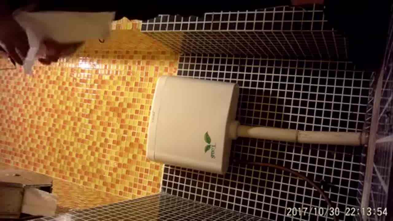  卫生间偷拍颜值极美的商场导购如厕，白虎嫩逼不错不错 的剧照6